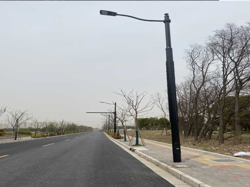 东昌府区上海综合杆 太阳能路灯工程